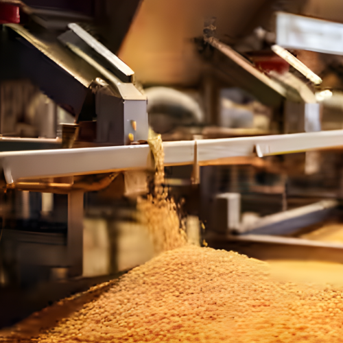 Pulses processors and suppliers in delhi